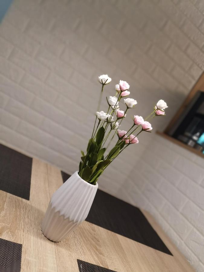 Ferienwohnung Jasmin Rust Buitenkant foto